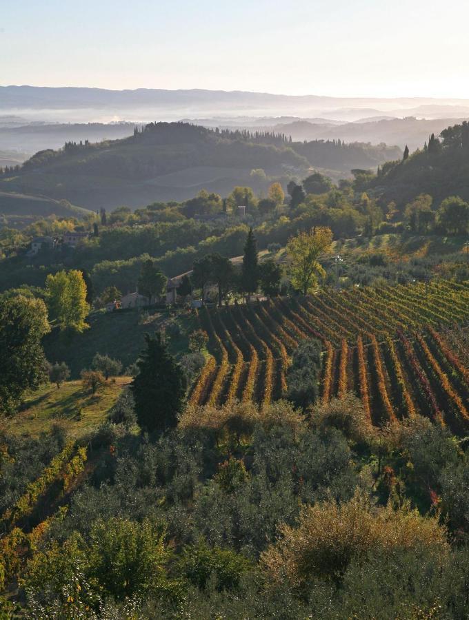 Tavarnelle Val di Pesa Agriturismo & Winery Il Bacioヴィラ エクステリア 写真